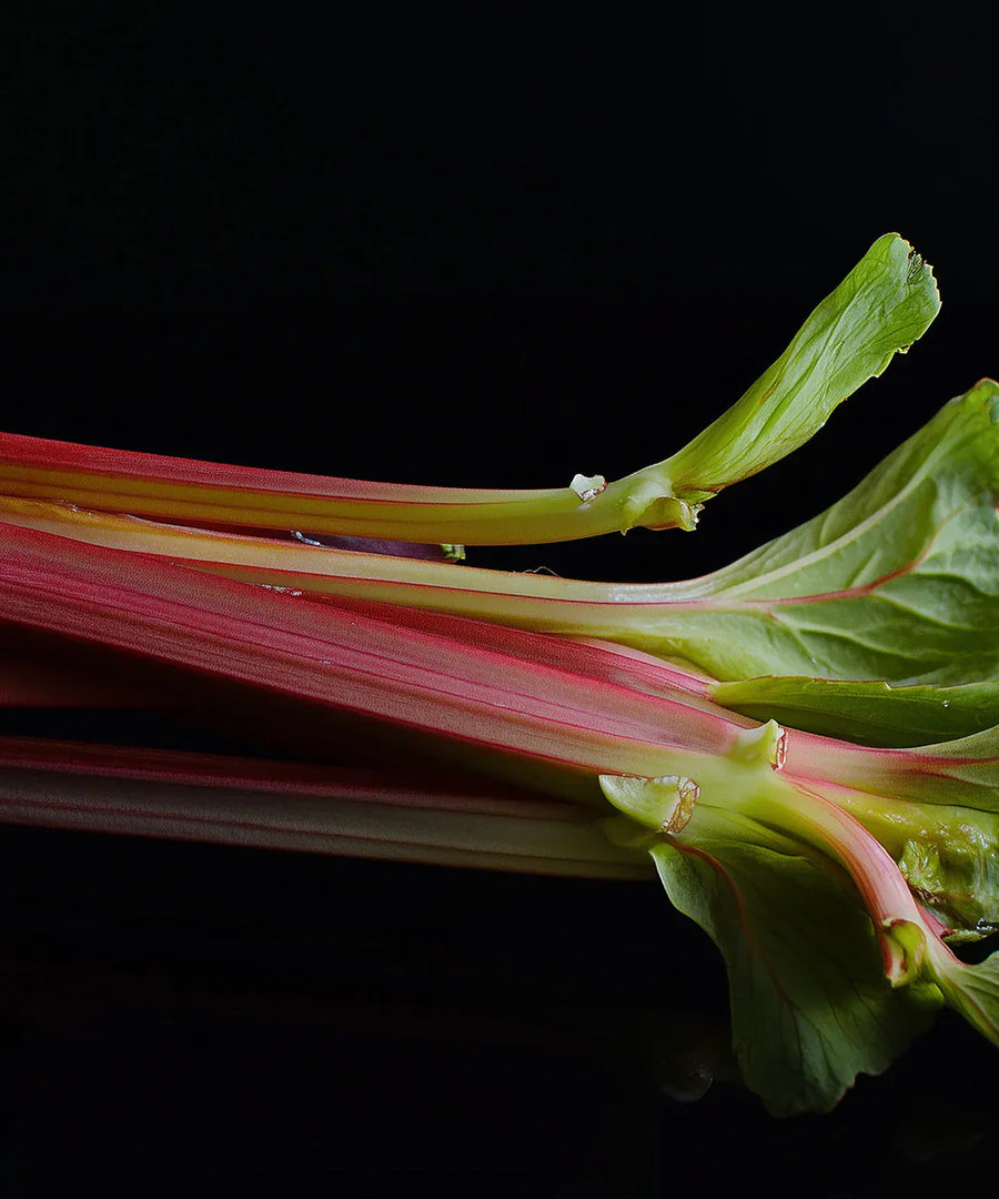 Rhubarbe
