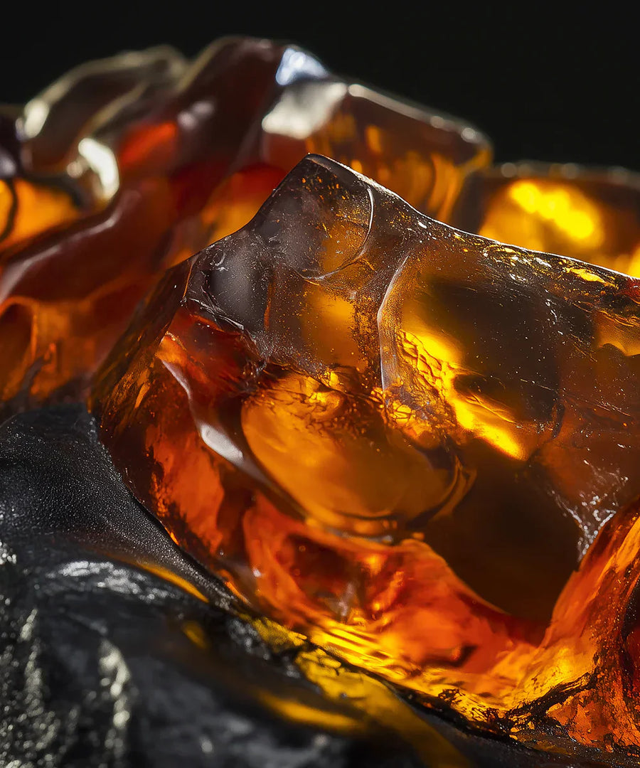 ambre noir